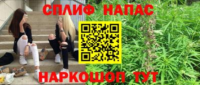 a pvp Будённовск