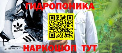 a pvp Будённовск