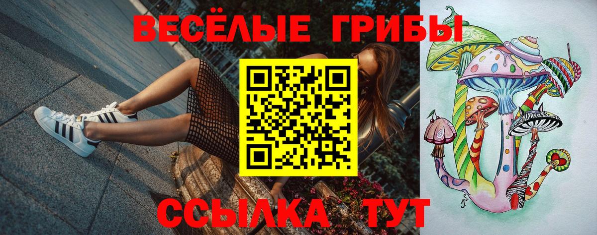 Псилоцибиновые грибы Psilocybe Геленджик